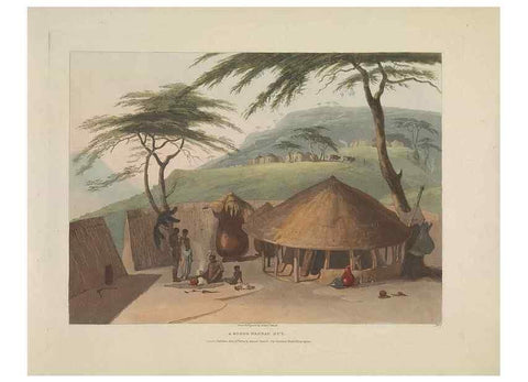 Reproducción/Reproduction 49753575787: [African scenery and animals]. London,1804-05. 
