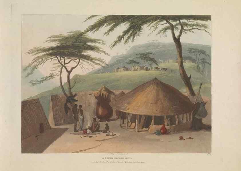 Reproducción/Reproduction 49753575787: [African scenery and animals]. London,1804-05. 