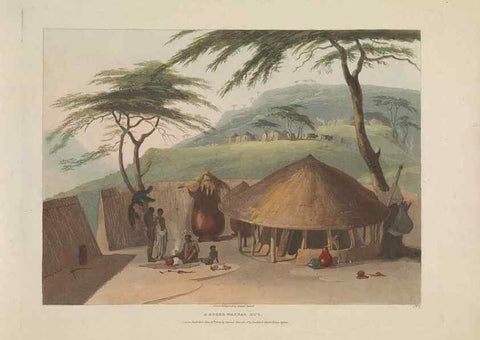 Reproducción/Reproduction 49753575787: [African scenery and animals]. London,1804-05. 