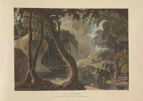 Reproducción/Reproduction 49753246116: [African scenery and animals]. London,1804-05. 