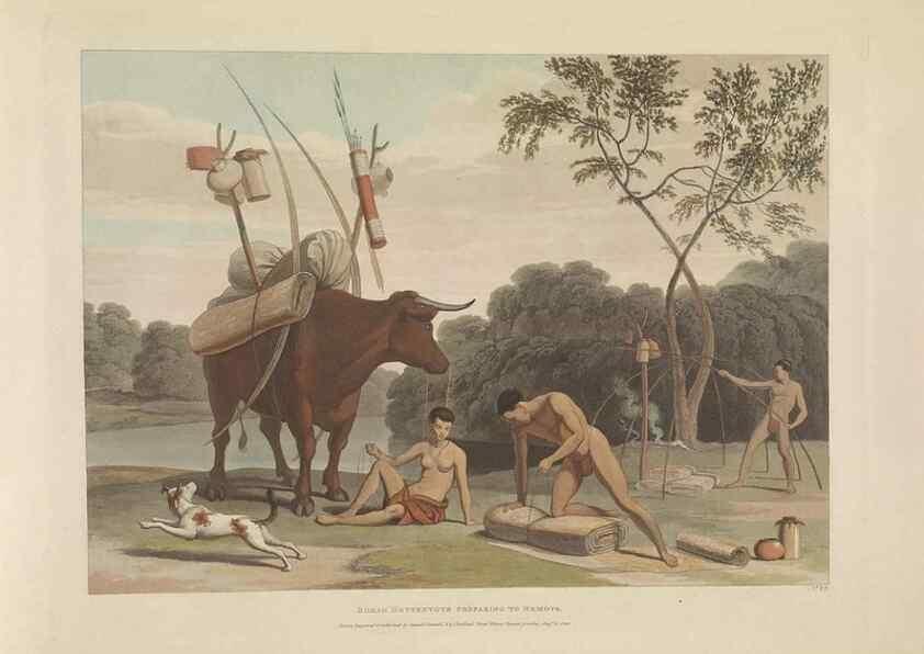 Reproducción/Reproduction 49753246331: [African scenery and animals]. London,1804-05. 