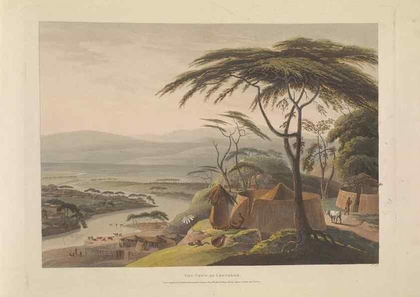 Reproducción/Reproduction 49752711308: [African scenery and animals]. London,1804-05. 