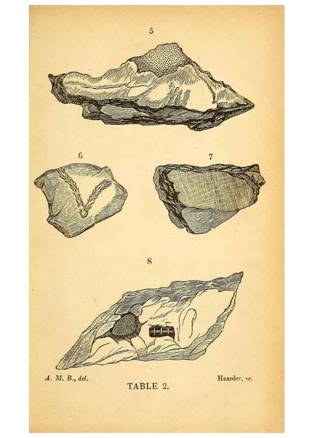 Reproducción/Reproduction 49750998562: The natural history of South Devon :. Plymouth,Printed and published by Jenkin Thomas,1839.. 