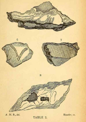 Reproducción/Reproduction 49750998562: The natural history of South Devon :. Plymouth,Printed and published by Jenkin Thomas,1839.. 