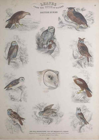 Reproducción/Reproduction 49748850398: Leaves from the book of nature,. Edinburgh :W.H. Lizars;[184-?]. 