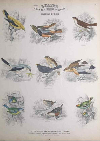 Reproducción/Reproduction 49749393636: Leaves from the book of nature,. Edinburgh :W.H. Lizars;[184-?]. 