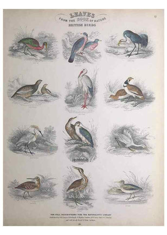Reproducción/Reproduction 49749394316: Leaves from the book of nature,. Edinburgh :W.H. Lizars;[184-?]. 