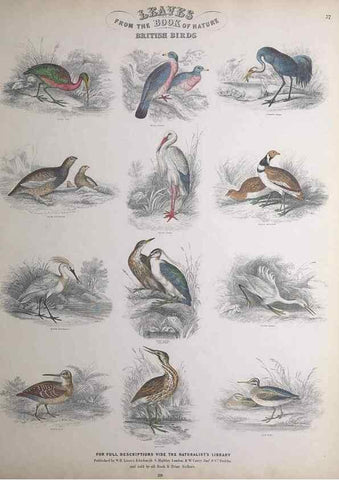 Reproducción/Reproduction 49749394316: Leaves from the book of nature,. Edinburgh :W.H. Lizars;[184-?]. 