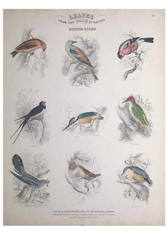 Reproducción/Reproduction 49748851653: Leaves from the book of nature,. Edinburgh :W.H. Lizars;[184-?]. 