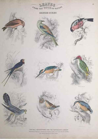 Reproducción/Reproduction 49748851653: Leaves from the book of nature,. Edinburgh :W.H. Lizars;[184-?]. 