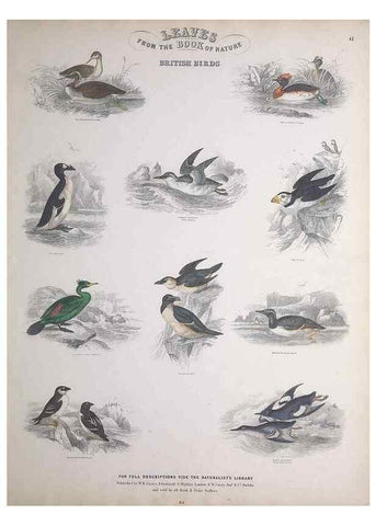 Reproducción/Reproduction 49748852348: Leaves from the book of nature,. Edinburgh :W.H. Lizars;[184-?]. 