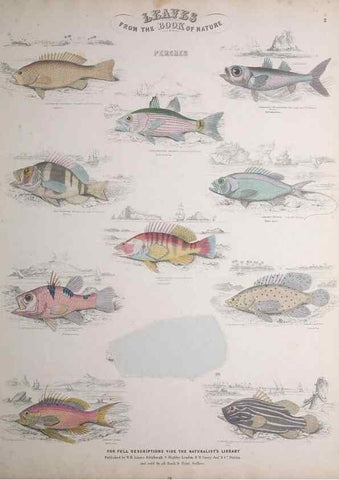 Reproducción/Reproduction 49749723657: Leaves from the book of nature,. Edinburgh :W.H. Lizars;[184-?]. 
