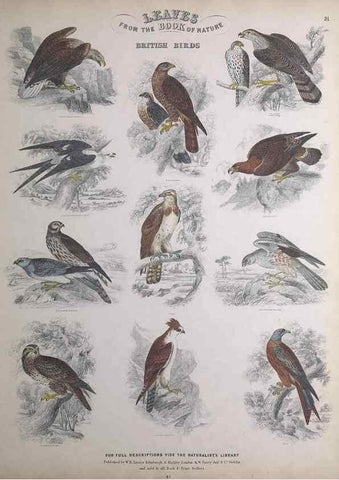 Reproducción/Reproduction 49749392886: Leaves from the book of nature,. Edinburgh :W.H. Lizars;[184-?]. 