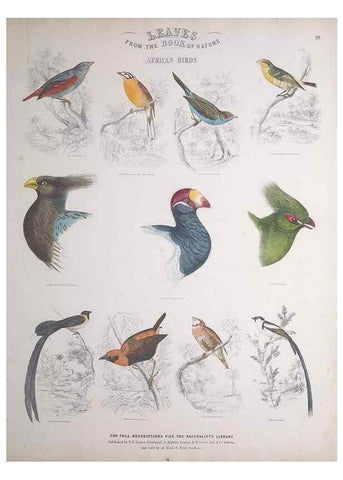 Reproducción/Reproduction 49749720437: Leaves from the book of nature,. Edinburgh :W.H. Lizars;[184-?]. 