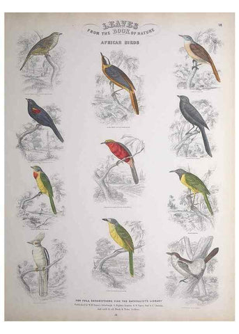 Reproducción/Reproduction 49748849453: Leaves from the book of nature,. Edinburgh :W.H. Lizars;[184-?]. 