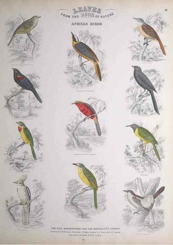 Reproducción/Reproduction 49748849453: Leaves from the book of nature,. Edinburgh :W.H. Lizars;[184-?]. 