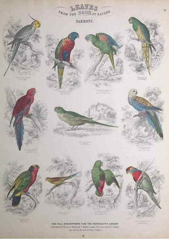 Reproducción/Reproduction 49749389566: Leaves from the book of nature,. Edinburgh :W.H. Lizars;[184-?]. 