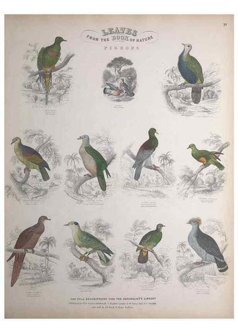 Reproducción/Reproduction 49749389716: Leaves from the book of nature,. Edinburgh :W.H. Lizars;[184-?]. 