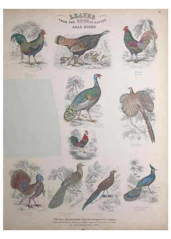 Reproducción/Reproduction 49749390411: Leaves from the book of nature,. Edinburgh :W.H. Lizars;[184-?]. 
