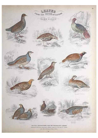 Reproducción/Reproduction 49749391086: Leaves from the book of nature,. Edinburgh :W.H. Lizars;[184-?]. 