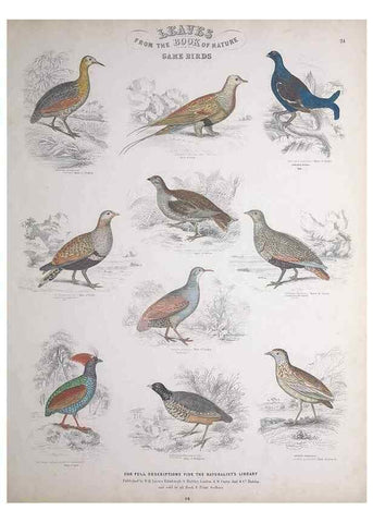 Reproducción/Reproduction 49748848813: Leaves from the book of nature,. Edinburgh :W.H. Lizars;[184-?]. 