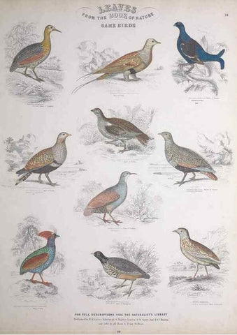 Reproducción/Reproduction 49748848813: Leaves from the book of nature,. Edinburgh :W.H. Lizars;[184-?]. 