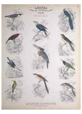Reproducción/Reproduction 49748849313: Leaves from the book of nature,. Edinburgh :W.H. Lizars;[184-?]. 