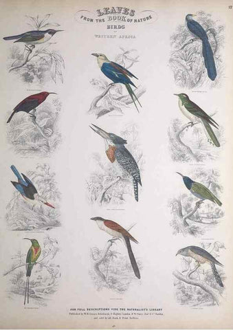 Reproducción/Reproduction 49748849313: Leaves from the book of nature,. Edinburgh :W.H. Lizars;[184-?]. 