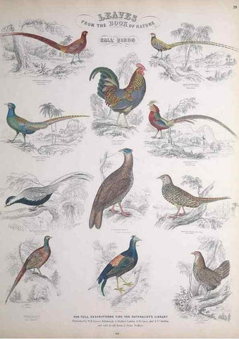 Reproducción/Reproduction 49748847963: Leaves from the book of nature,. Edinburgh :W.H. Lizars;[184-?]. 
