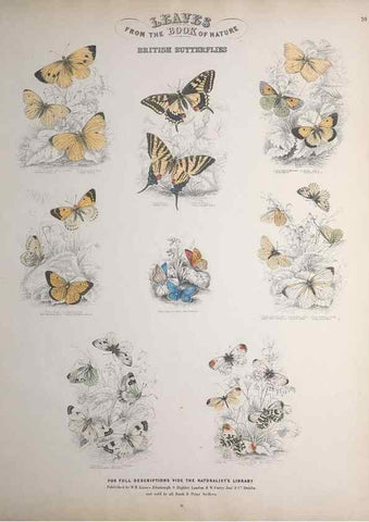 Reproducción/Reproduction 49749401966: Leaves from the book of nature,. Edinburgh :W.H. Lizars;[184-?]. 