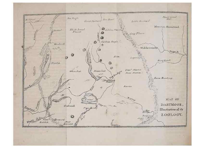 Reproducción/Reproduction 49750128333: The natural history of South Devon :. Plymouth,Printed and published by Jenkin Thomas,1839.. 