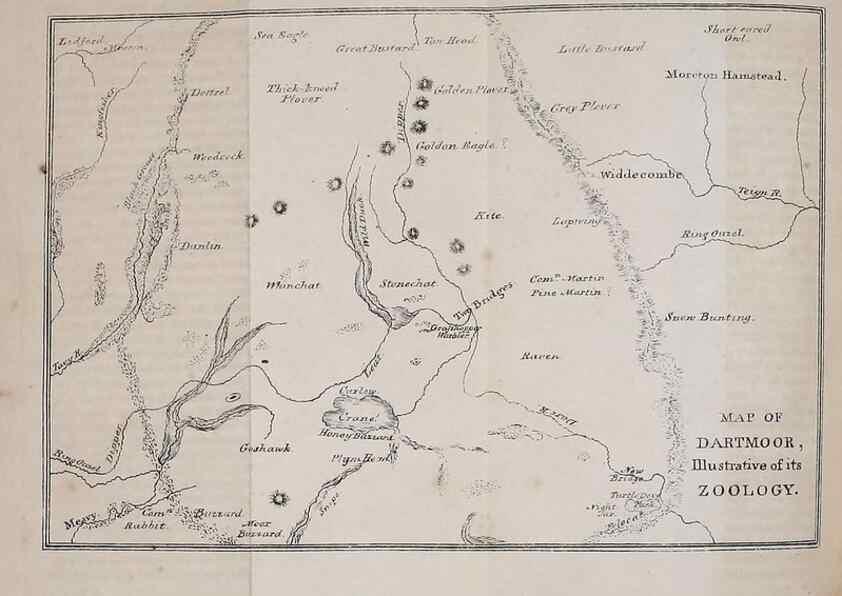 Reproducción/Reproduction 49750128333: The natural history of South Devon :. Plymouth,Printed and published by Jenkin Thomas,1839.. 