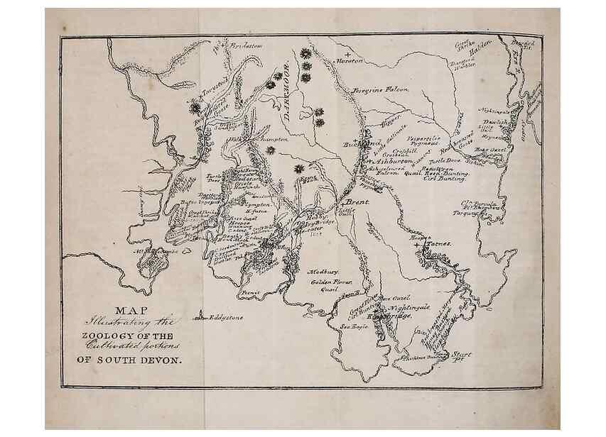 Reproducción/Reproduction 49750668476: The natural history of South Devon :. Plymouth,Printed and published by Jenkin Thomas,1839.. 