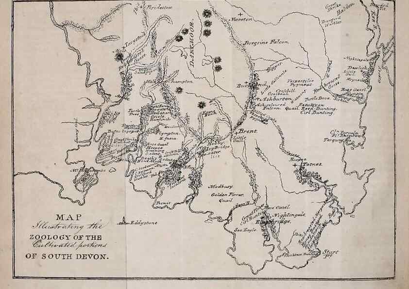 Reproducción/Reproduction 49750668476: The natural history of South Devon :. Plymouth,Printed and published by Jenkin Thomas,1839.. 