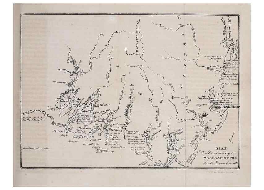 Reproducción/Reproduction 49750997322: The natural history of South Devon :. Plymouth,Printed and published by Jenkin Thomas,1839.. 