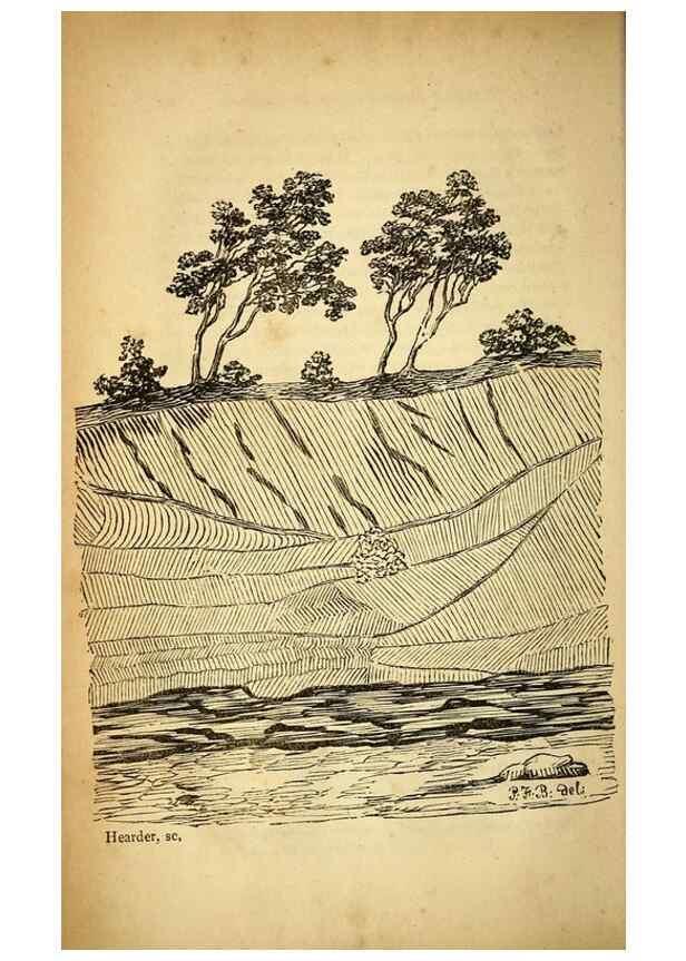 Reproducción/Reproduction 49750667421: The natural history of South Devon :. Plymouth,Printed and published by Jenkin Thomas,1839.. 