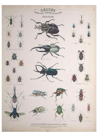 Reproducción/Reproduction 49749727757: Leaves from the book of nature,. Edinburgh :W.H. Lizars;[184-?]. 