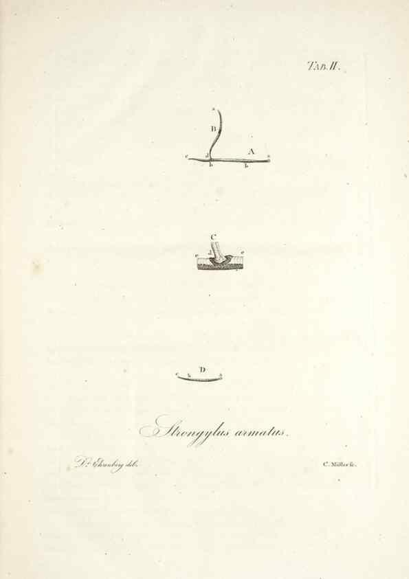 Reproducción/Reproduction 49578472068: Horae physicae Berolinenses :. Bonnae :Adolphi Marcus,1820.. 