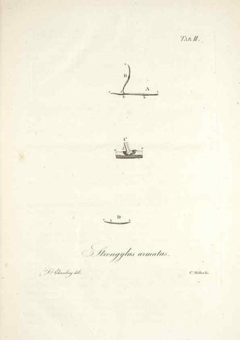 Reproducción/Reproduction 49578472068: Horae physicae Berolinenses :. Bonnae :Adolphi Marcus,1820.. 