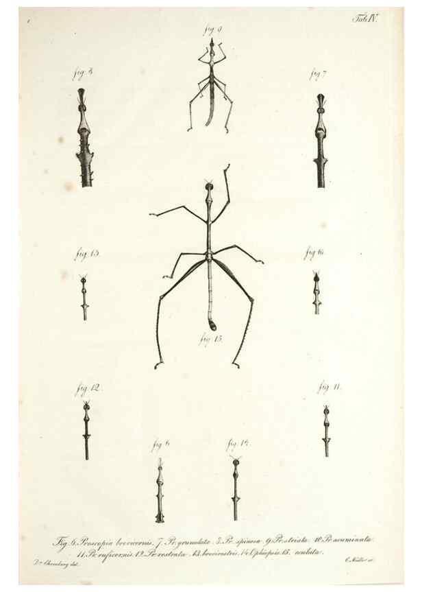 Reproducción/Reproduction 49578472563: Horae physicae Berolinenses :. Bonnae :Adolphi Marcus,1820.. 