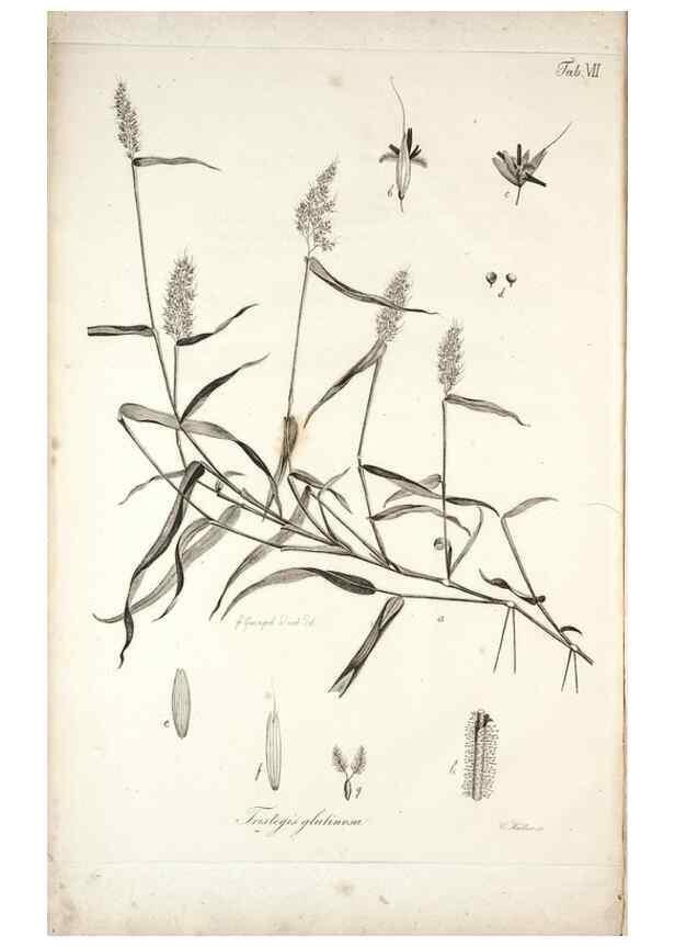 Reproducción/Reproduction 49578473428: Horae physicae Berolinenses :. Bonnae :Adolphi Marcus,1820.. 