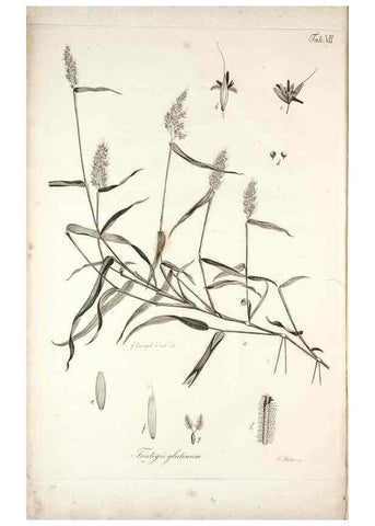 Reproducción/Reproduction 49578473428: Horae physicae Berolinenses :. Bonnae :Adolphi Marcus,1820.. 