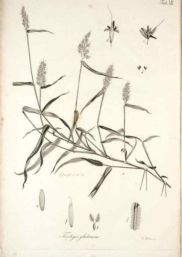 Reproducción/Reproduction 49578473428: Horae physicae Berolinenses :. Bonnae :Adolphi Marcus,1820.. 