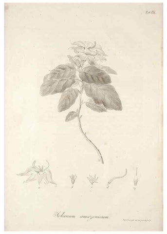 Reproducción/Reproduction 49578978661: Horae physicae Berolinenses :. Bonnae :Adolphi Marcus,1820.. 
