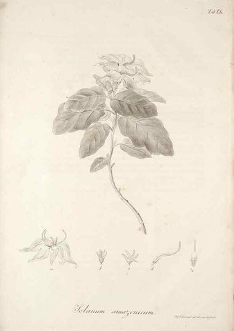 Reproducción/Reproduction 49578978661: Horae physicae Berolinenses :. Bonnae :Adolphi Marcus,1820.. 