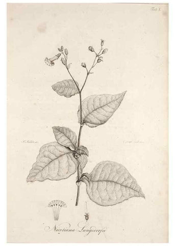 Reproducción/Reproduction 49579205862: Horae physicae Berolinenses :. Bonnae :Adolphi Marcus,1820.. 