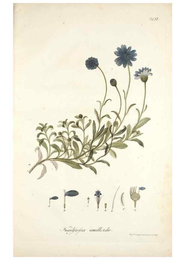 Reproducción/Reproduction 49579206092: Horae physicae Berolinenses :. Bonnae :Adolphi Marcus,1820.. 