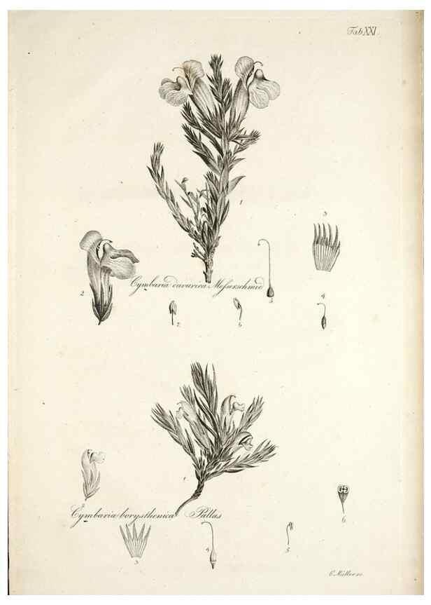 Reproducción/Reproduction 49578477203: Horae physicae Berolinenses :. Bonnae :Adolphi Marcus,1820.. 
