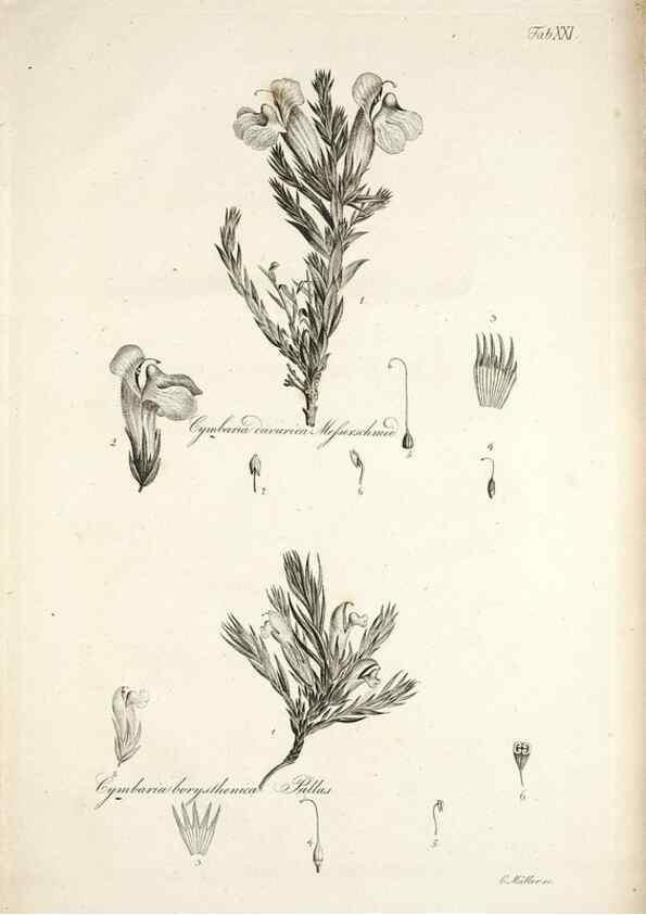 Reproducción/Reproduction 49578477203: Horae physicae Berolinenses :. Bonnae :Adolphi Marcus,1820.. 