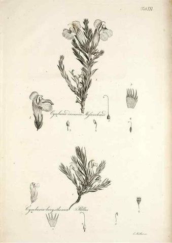 Reproducción/Reproduction 49578477203: Horae physicae Berolinenses :. Bonnae :Adolphi Marcus,1820.. 
